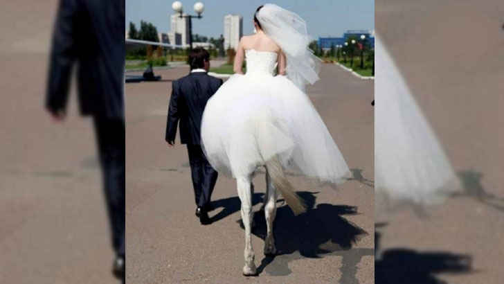 A picture containing ground, outdoor, mammal, white

Description automatically generated