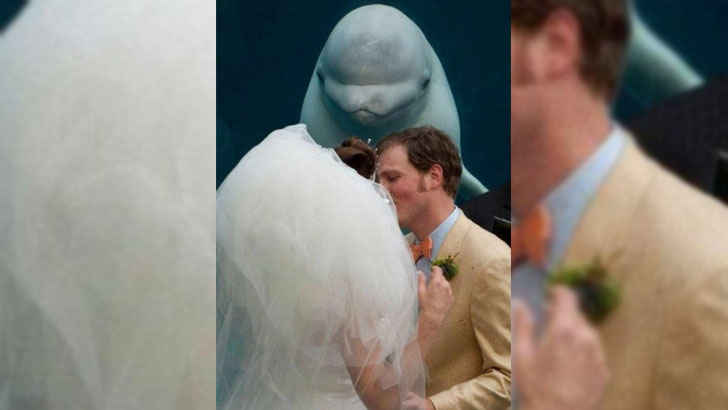 A picture containing text, person

Description automatically generated